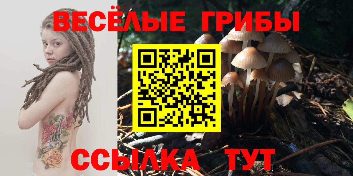 Гуково  Псилоцибиновые грибы Magic Shrooms  Вход с VPN 
